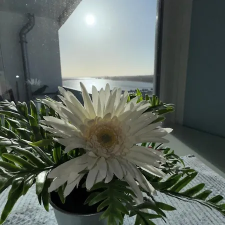 - Haus C, App 0c1208 * هايليغنهافن